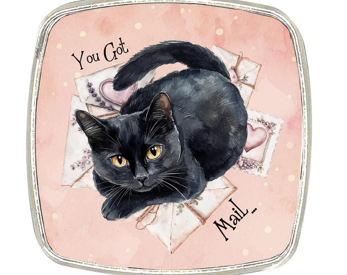 Cat Magnet - Chrome Finish Large Magnet - Shabby Chic Cat, Cottage Core - You Got Mail, Black cat