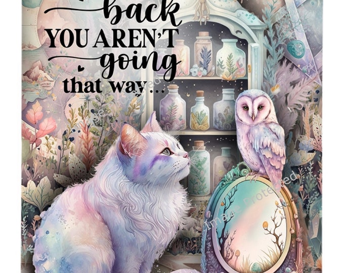 Cat & Owl Metal Sign: Motivational Quote Hanging Decor