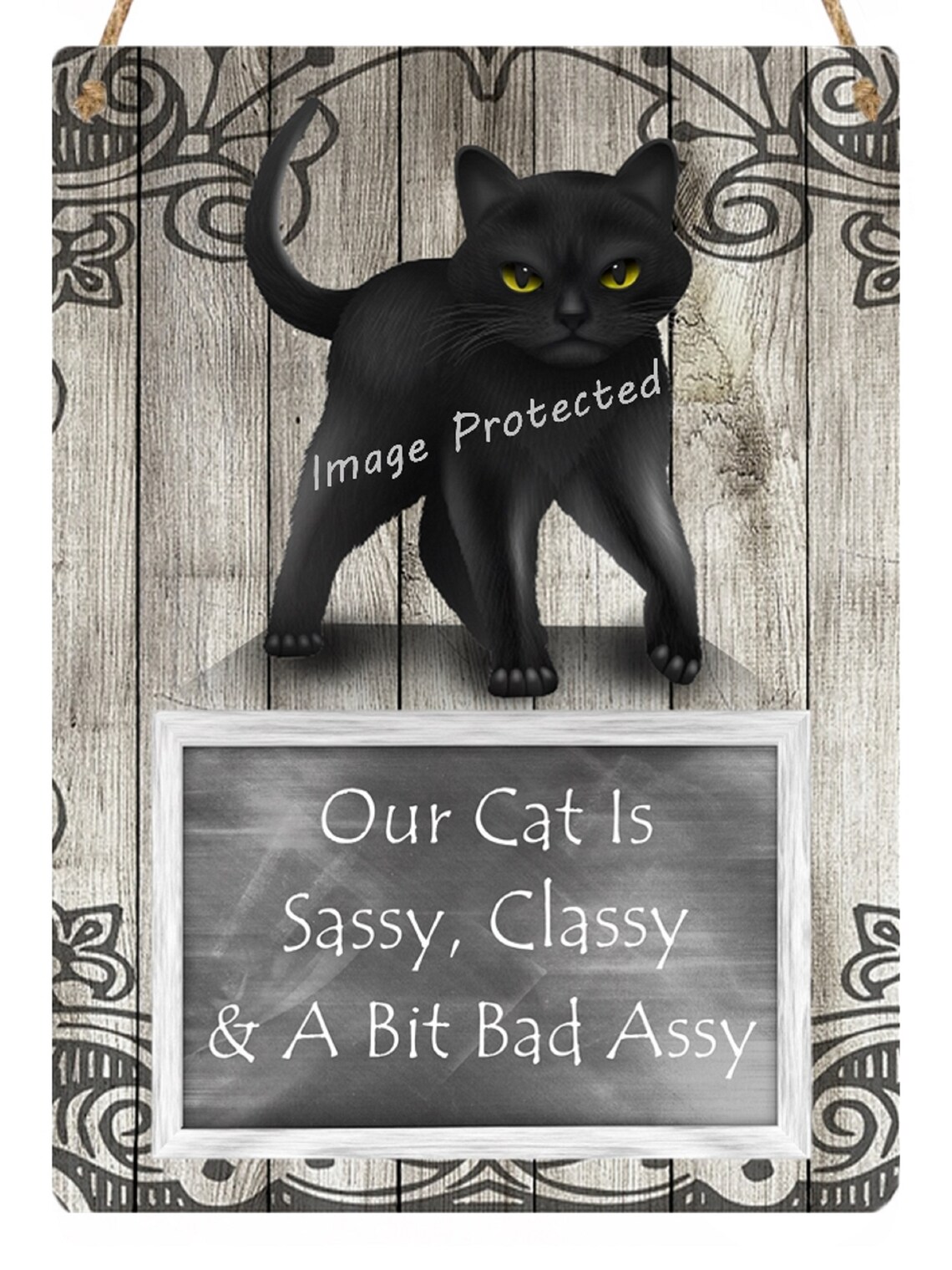 Cat Sign Cat Metal Hanging Sign Black Cat Sassy Classy Etsy