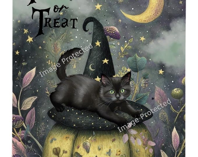 Trick or Treat Black cat & Pumpkin Halloween Sign  (20cm x 15cm)