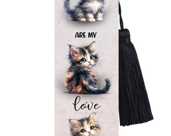 Large Metal Bookmark With Tassel - Books Are My Love Language - Funny cat Bookmark