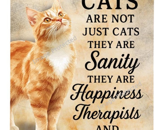 Ginger Cat Metal Wall Sign, Friend Home Decor