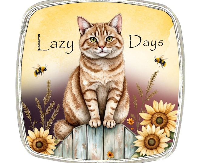Cat Magnet - Chrome Finish Large Magnet - Ginger Cat - Lazy Days