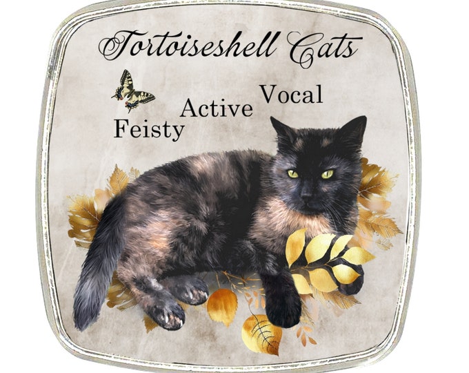Cat Magnet - Chrome Finish Large Magnet - Cat Breed - Tortoiseshell Cat