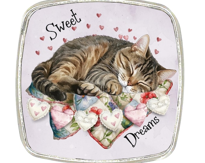 Cat Magnet - Chrome Finish Large Magnet - Shabby Chic Cat, Cottage Core - Tabby Cat - Sweet Dreams