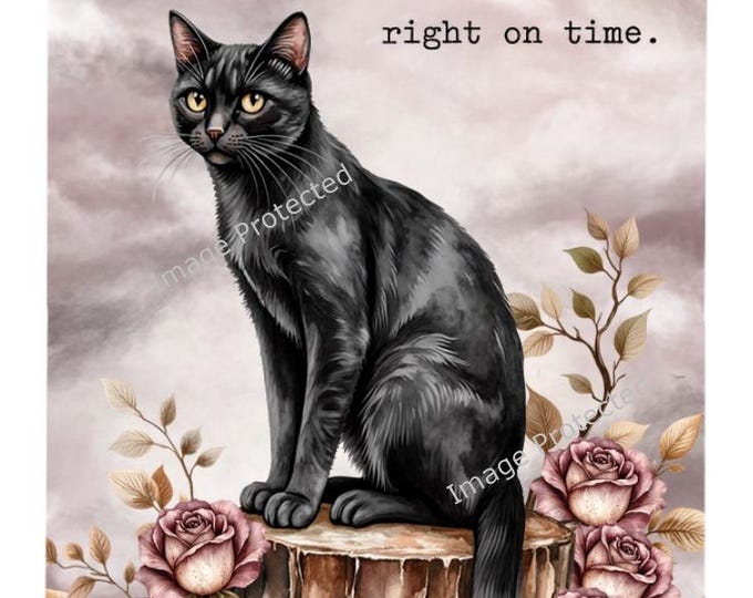 Black Cat Metal Sign - What is meant for you will always arrive right on time