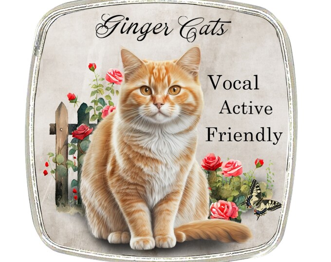 Cat Magnet - Chrome Finish Large Magnet - Cat Breed - Ginger Cat