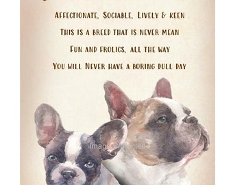 Metal Dog Sign - The French Bulldog