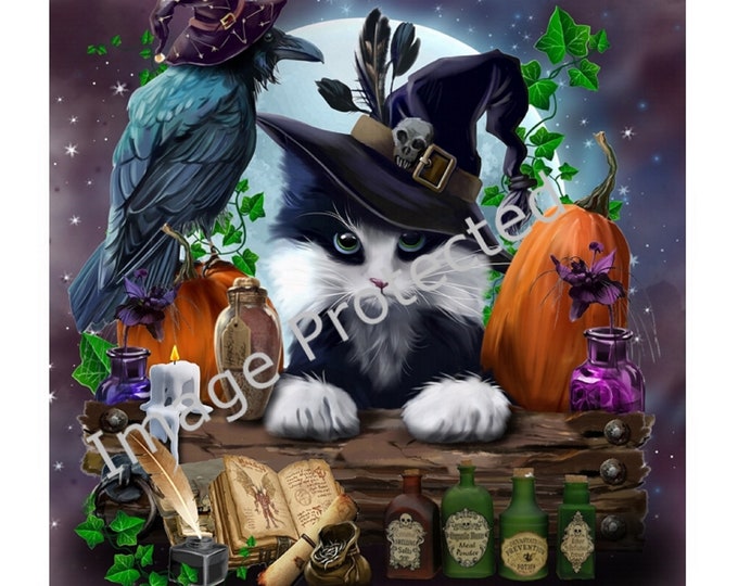 Cat Sign - Cat Hanging Metal Sign - Salem Sanctuary For Wayward Cats - Purple