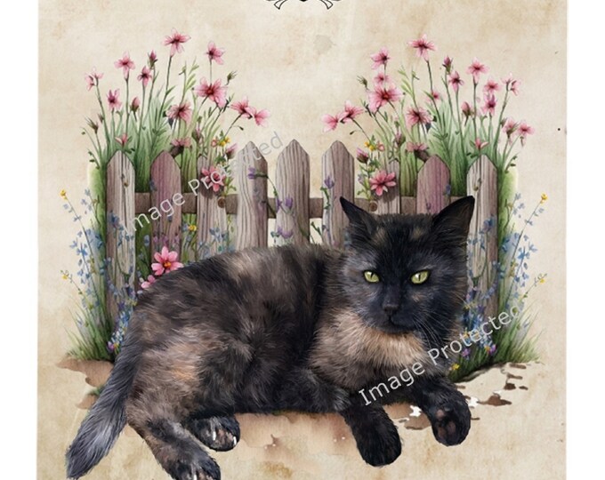Cat Breed Sign - The Tortoiseshell Cat