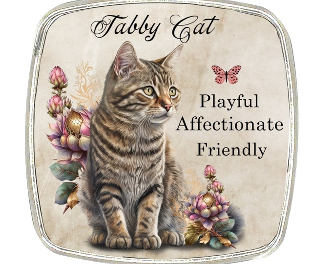 Cat Magnet - Chrome Finish Large Magnet - Cat Breed - Tabby Cat