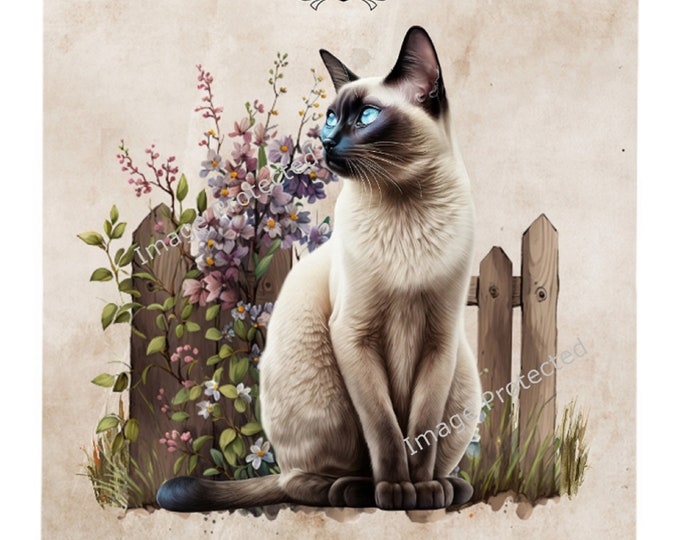 Cat Breed Sign - The Siamese Cat