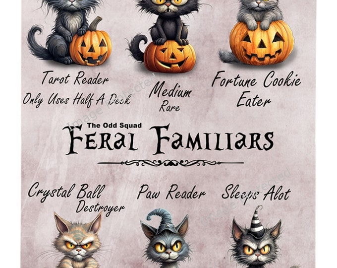Cat Sign - Witches Cats - Feral Familiars - Funny Cat Sign