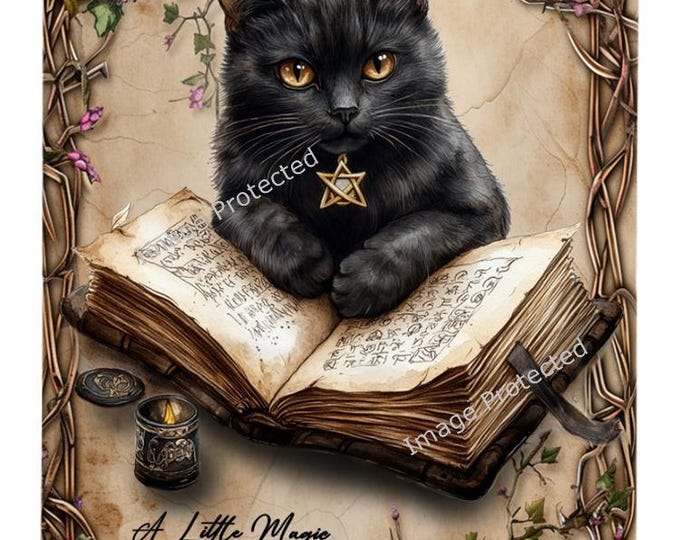Cat Sign - Hanging Metal Sign -Black cat - A Little Magic Can Go A Long Way