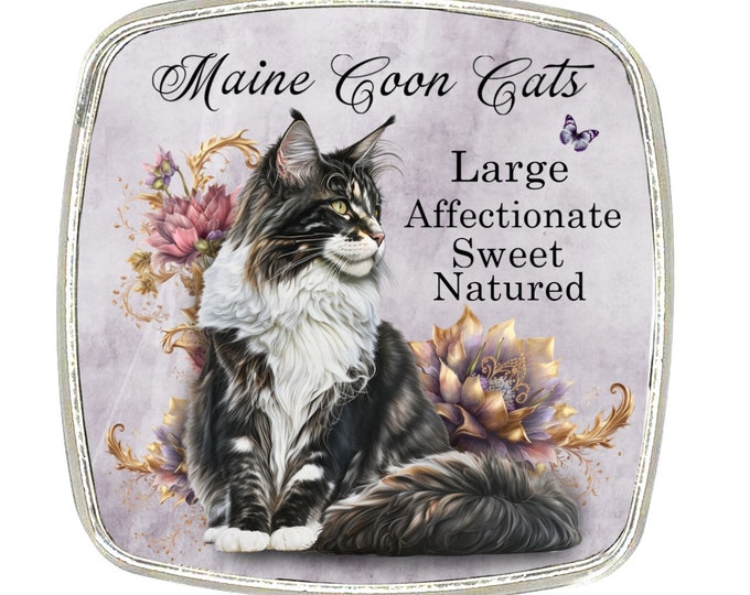 Cat Magnet - Chrome Finish Large Magnet - Cat Breed - Maine Coon