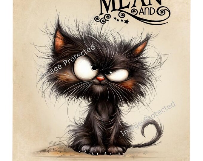 Cat Sign - Hanging Metal Sign -Black Cat - I'm Not Funny, I'm Just Mean...
