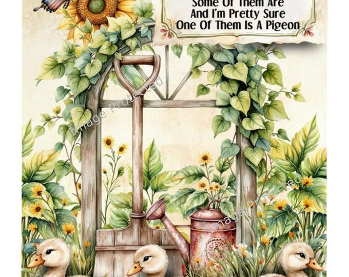 Little Ducks Metal Sign - My Ducks are not in a row, funny quote