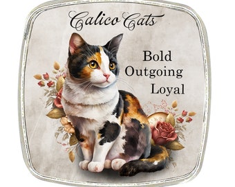 Calico Cat Magnet: Chrome Finish, Large Size (6cm)