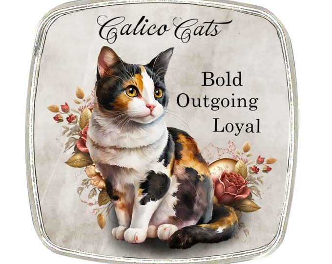 Cat Magnet - Chrome Finish Large Magnet - Cat Breed - Calico Cat
