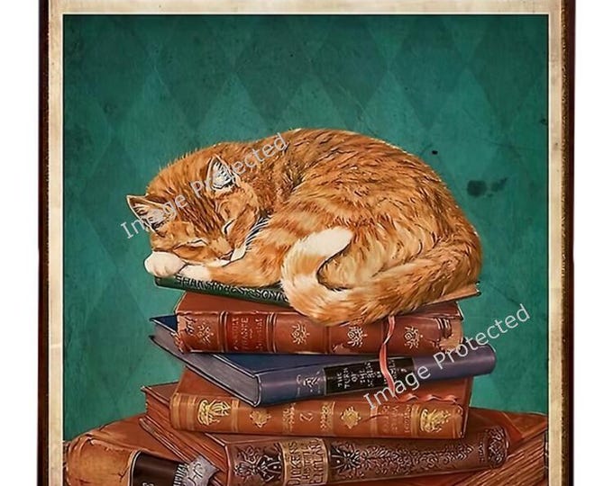 Funny Hanging Metal Cat Sign: Time Spent With Cats & Books Is Never Wasted