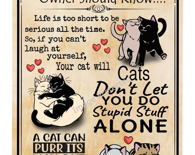 Cat Facts Sign - Funny Cat Sign - Hanging Metal Sign