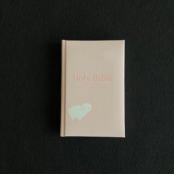 Vintage Pink Children's Holy Bible / New Testament with Psalms & Proberbs