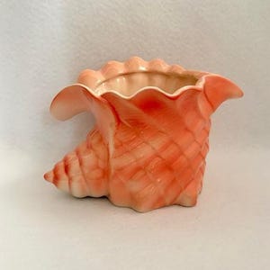 May include: A ceramic seashell planter in shades of coral and peach. The planter is shaped like a conch shell, with a textured surface and a ruffled rim. The interior is a lighter peach color.