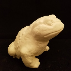 May include: A white ceramic frog figurine with a textured surface. The frog is sitting with its legs tucked under its body and its head tilted to the side.