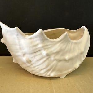Könnte beinhalten: Weißer Keramik-Pflanztopf in Form einer Muschel mit strukturierter Oberfläche.