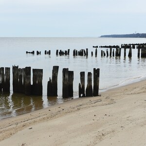 Chesapeake Bay Weathered Pilings