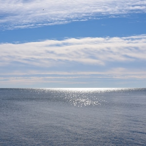 Chesapeake Bay Water