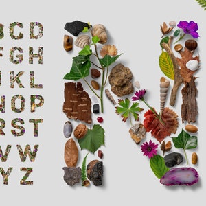 Flatlay Nature Alphabet image 1