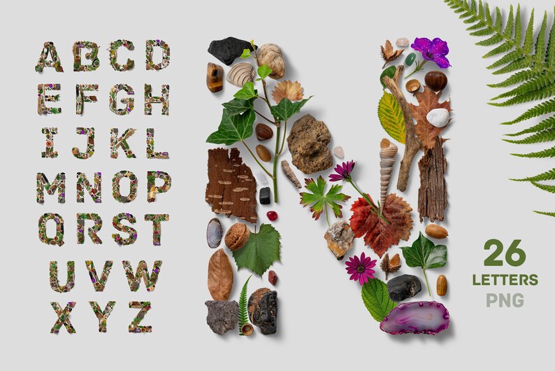 Flatlay Nature Alphabet image 1