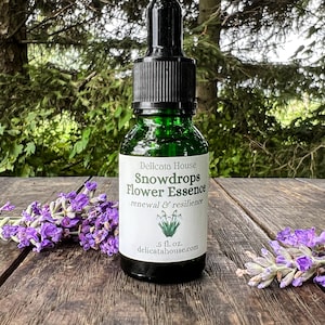 Snowdrops Flower Essence - Flower Remedy - New Beginnings Flower Essence - Renewal Flower Essence - Rebirth Flower Essence - Imbolc Gift
