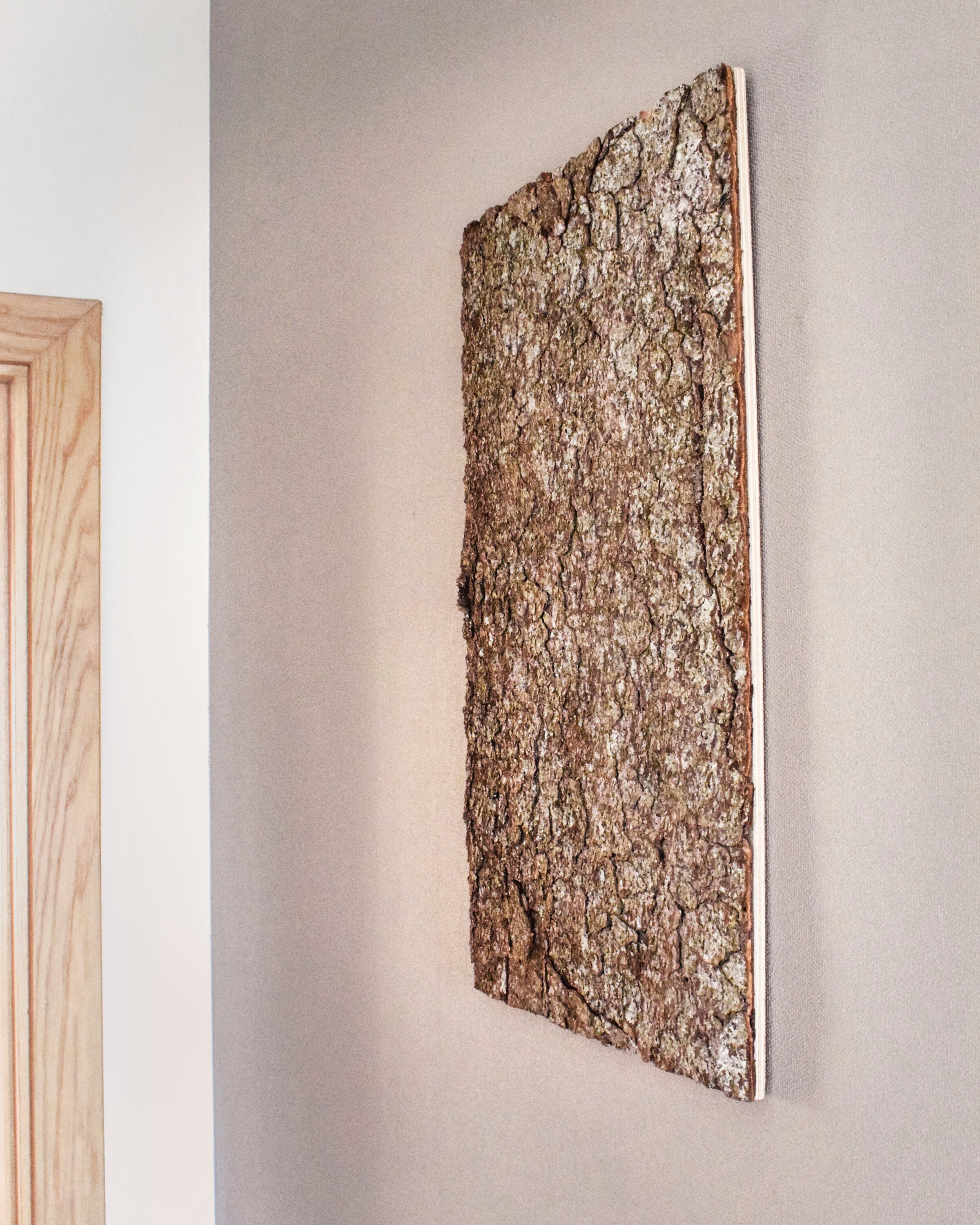 Spruce Tree Bark nordic Scandinavian Wall Art Etsy