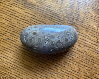 Polished Petoskey Stone, Beach Find from Michigan 3.3” x 1.6”