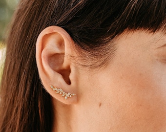 Pendientes trepadores de orejas / Pendientes trepadores / Pendientes trepadores de orejas / Pendientes trepadores / Pendientes trepadores de orejas / Pendientes trepadores de orejas / Escaladores de orejas / Oliva
