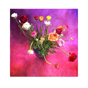 HELLE RANUNCULUS von einer original malerisch Fotografie Blank inside Muttertag Danke Gärtner Mutter Tochter Beileid Geburtstag