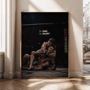 May include: A rectangular wall art print featuring two mixed martial arts fighters grappling on the ground inside a cage. The text "No RISK No GLORY" is printed in white above the fighters, with "UFC FIGHT PASS" visible on the side cage fence.