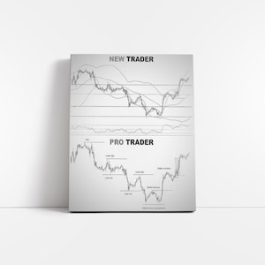 May include: A framed print with the text "NEW TRADER" and "PRO TRADER" above and below two stock market graphs. The graphs are black lines on a white background, with labels indicating market trends.