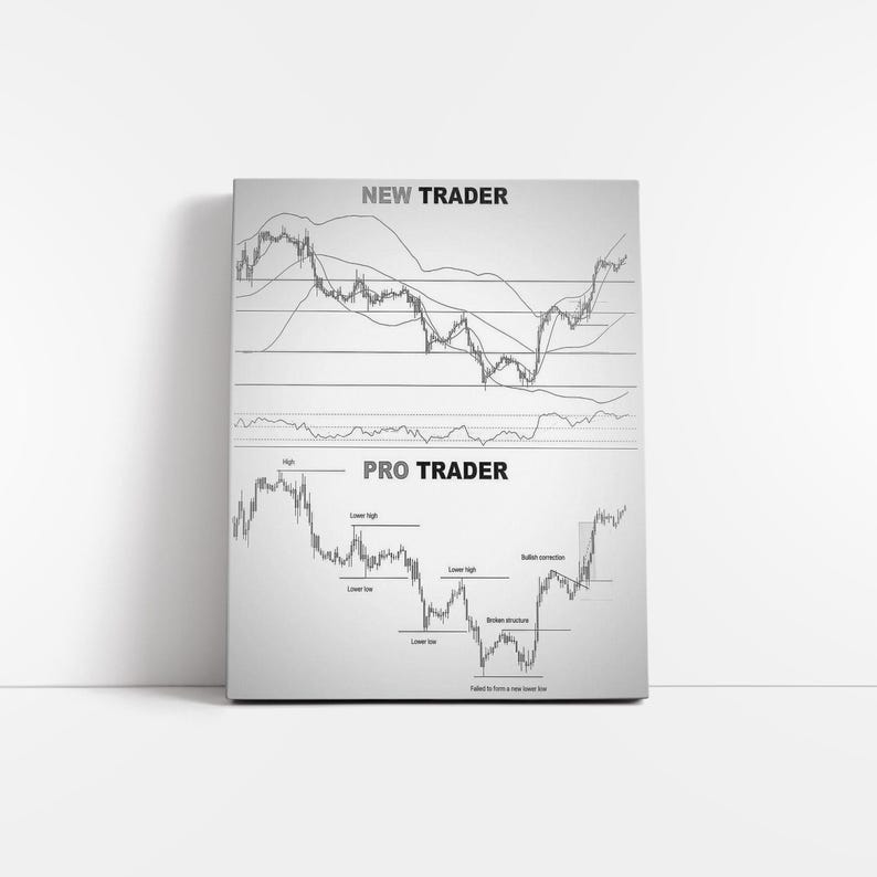 May include: A framed print with the text "NEW TRADER" and "PRO TRADER" above and below two stock market graphs. The graphs are black lines on a white background, with labels indicating market trends.