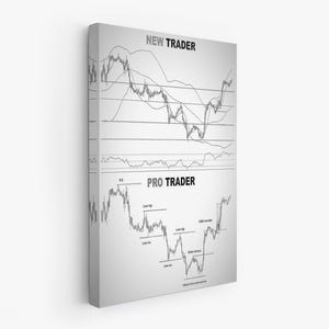 May include: A canvas print featuring a grayscale chart with the text "NEW TRADER" at the top and "PRO TRADER" below. The charts display financial data with lines and annotations, illustrating trading concepts.
