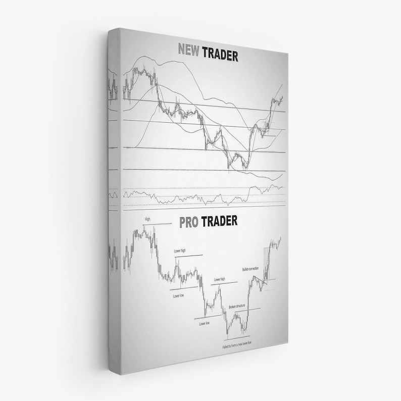 May include: A canvas print featuring a grayscale chart with the text "NEW TRADER" at the top and "PRO TRADER" below. The charts display financial data with lines and annotations, illustrating trading concepts.