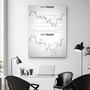 May include: A framed canvas print featuring two stock market charts. The top chart is labeled "NEW TRADER" and the bottom chart is labeled "PRO TRADER". The charts are in black and white, with lines and labels indicating market trends.