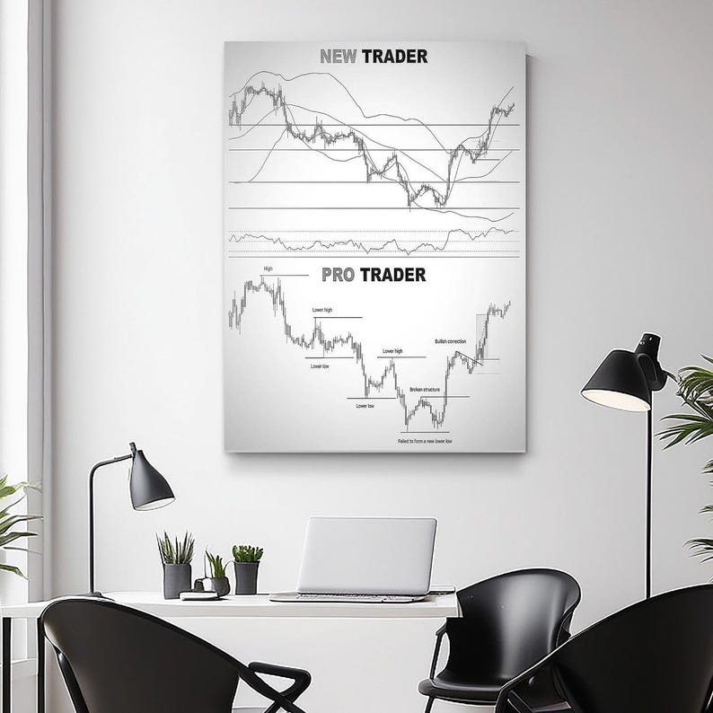 May include: A framed canvas print featuring two stock market charts. The top chart is labeled "NEW TRADER" and the bottom chart is labeled "PRO TRADER". The charts are in black and white, with lines and labels indicating market trends.