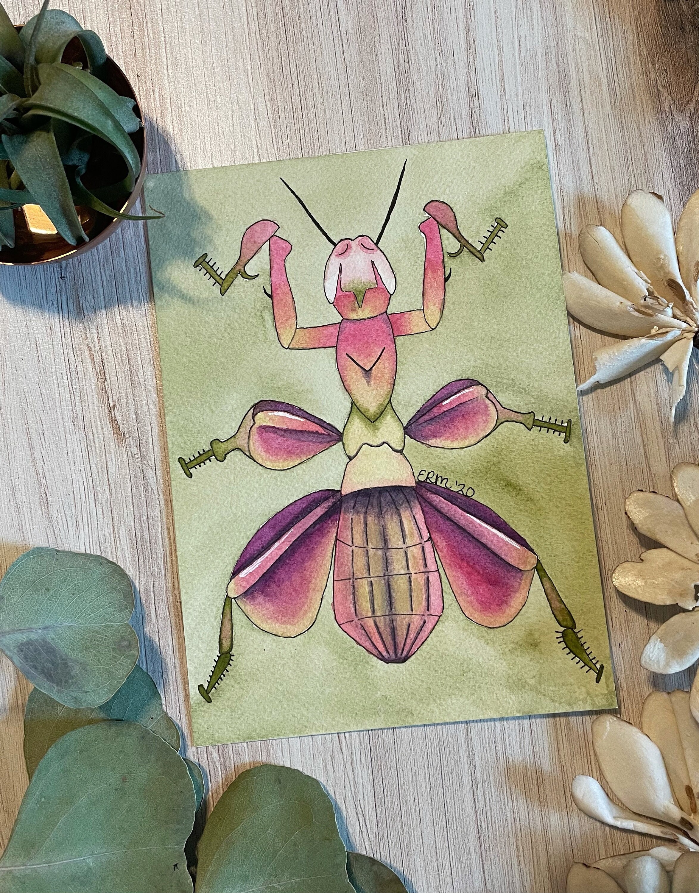 Animal Crossing Orchidee Mantis Orchidee Käfer Käfer Etsy.de