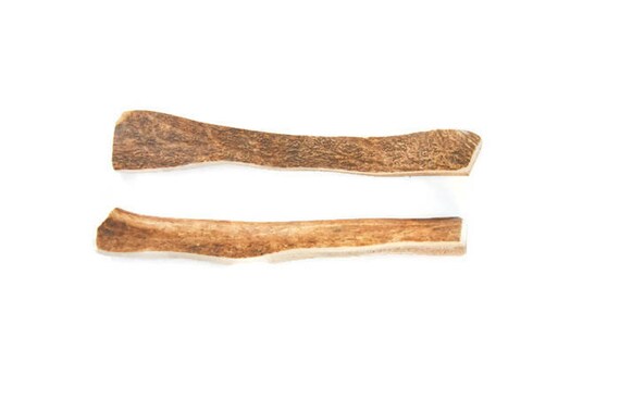 fallow antler dog chew