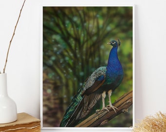 Peacock Giclee Print, Victorian Style Bird Wall Art