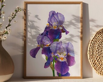 Purple Iris Watercolour Print, Botanical Art