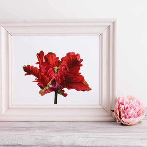 Tulpe Original Aquarell, Frühlingsblume, Tulpe Kunst, Rote Tulpe Malerei, Botanische Illustration, Gärtner Geschenk, Papagei Tulpe,